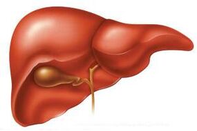 En la etapa aguda de la helmintiasis, el hígado puede agrandarse. 