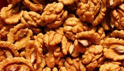nogal para limpiar el cuerpo de los parásitos