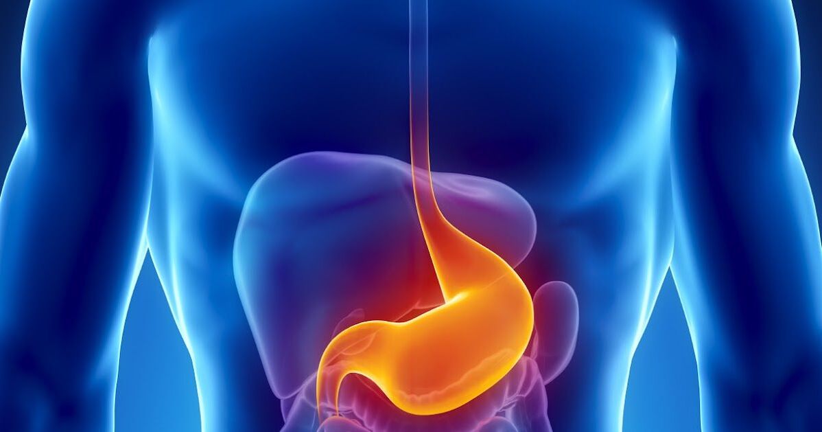 contraindicaciones para limpiar el cuerpo de parásitos
