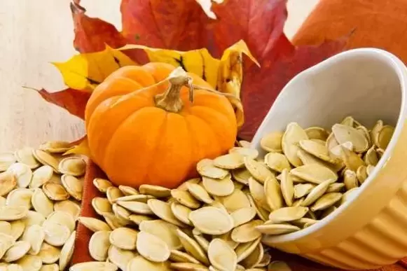 semillas de calabaza para lombrices